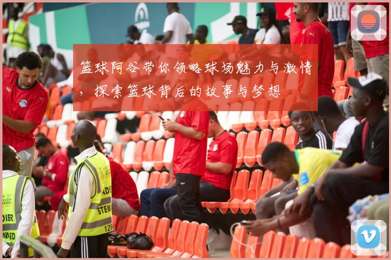 篮球阿谷带你领略球场魅力与激情，探索篮球背后的故事与梦想