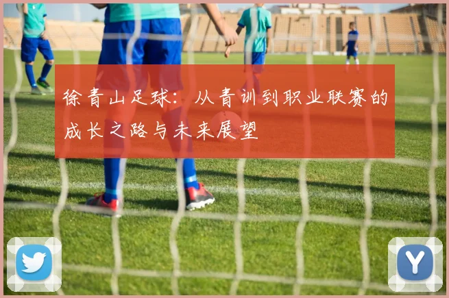 徐青山足球：从青训到职业联赛的成长之路与未来展望